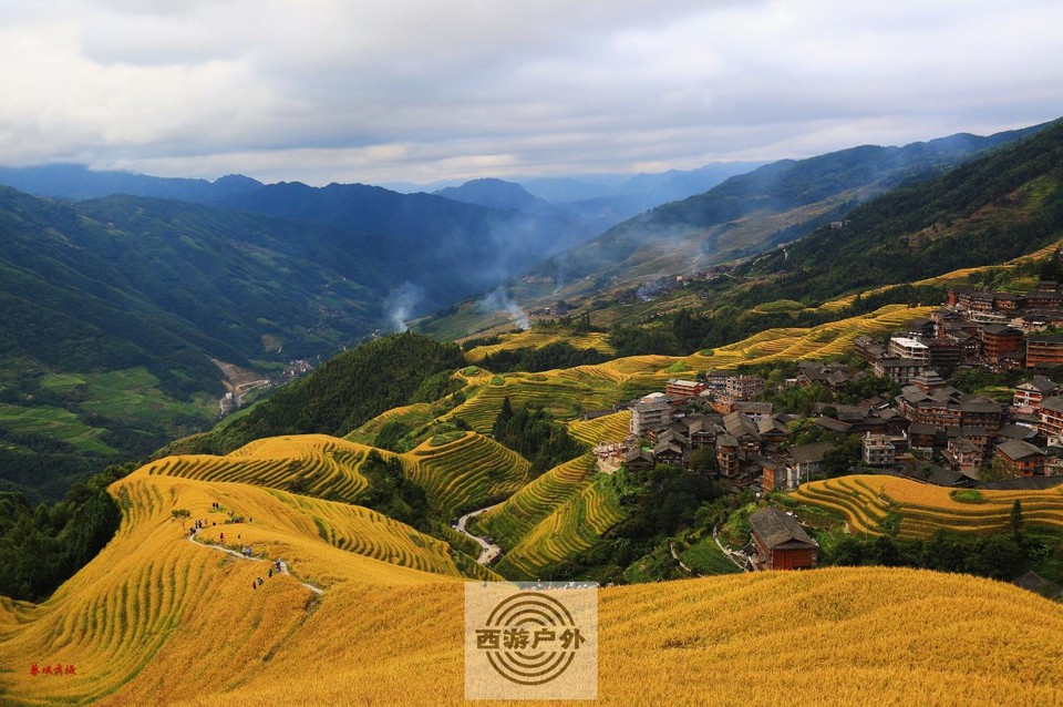 VOUEZUPF2NZ6O{BHONYAS_1