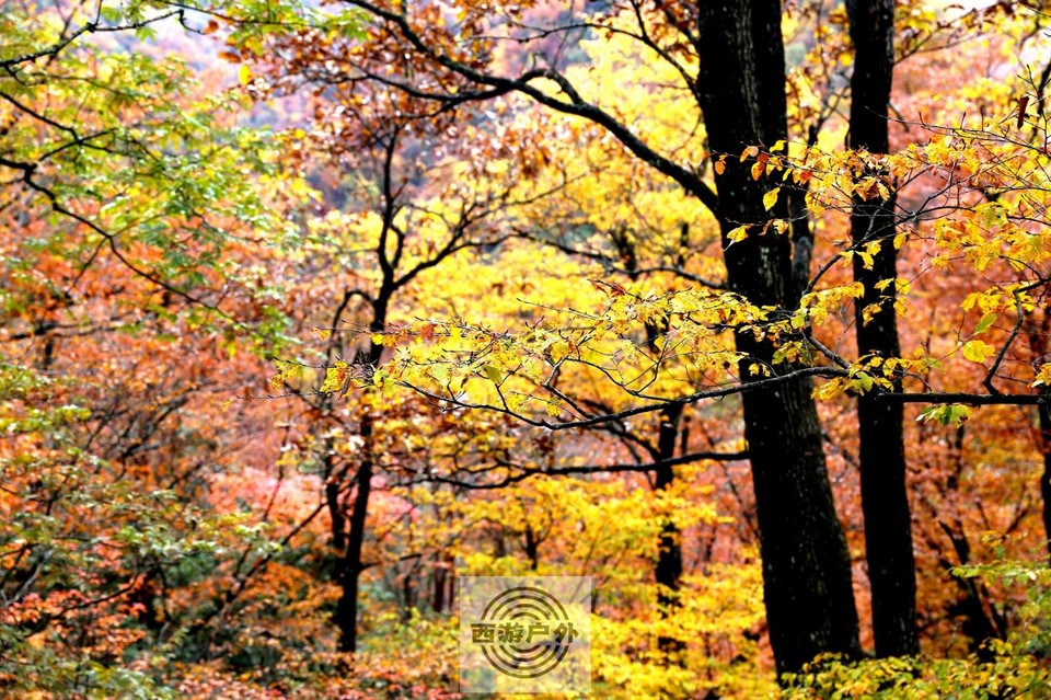 %B`GAGU~OV3LKW)K_RML@PD