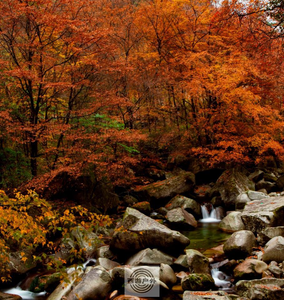 @2N3SRKJQOWW$ZH1SG(777M