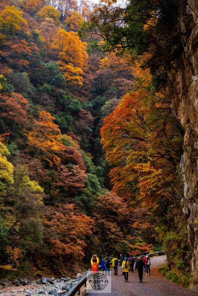 @NA%)~PC0RVPE99IVTXGPLS