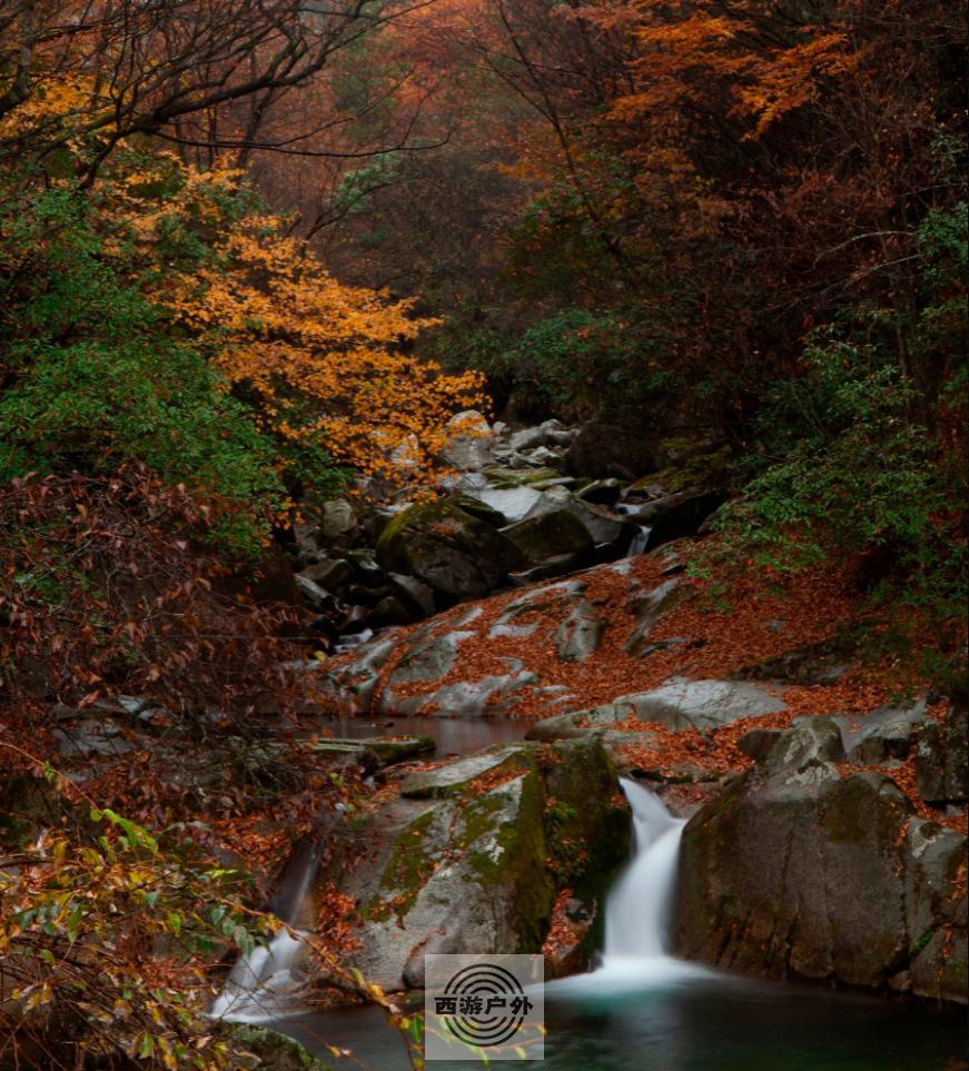 `G{339]90EHAPWP2BR%WHCM