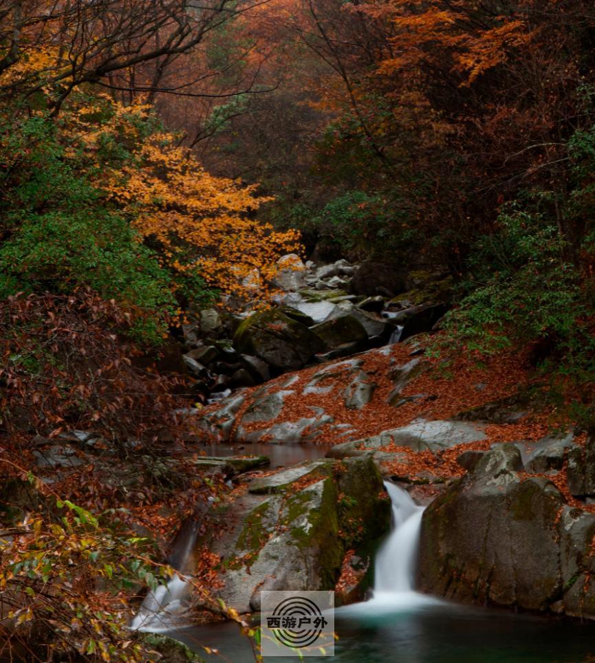 024_H6N6659X8~4~VI}XV}9