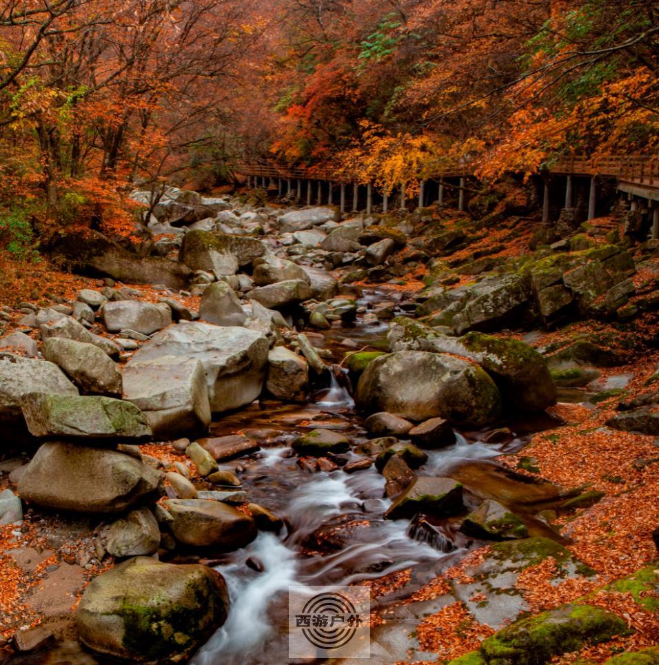 H2NIPH5ZXMTQQTY_5T1N)4V