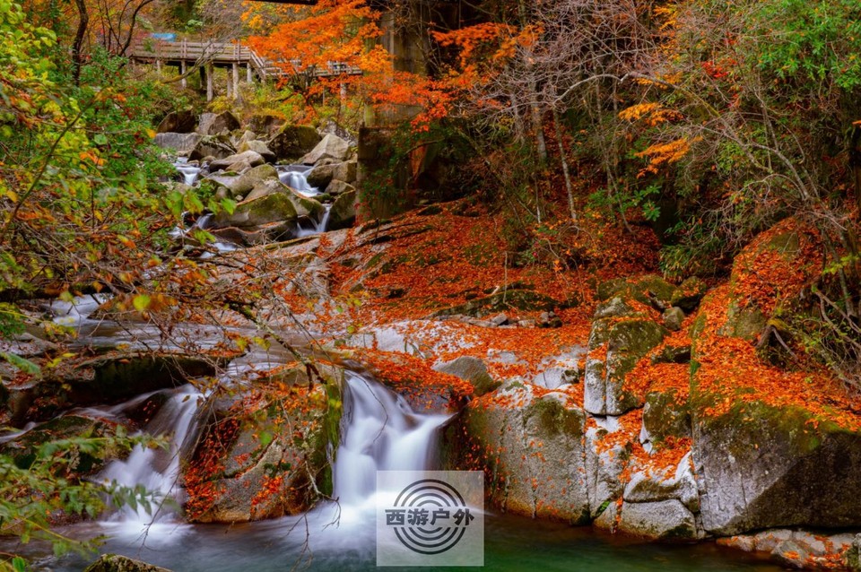 O39U]4%X$S54XNZ9S6VXV`B