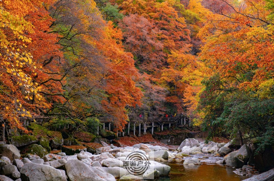 S%PQ)I_C8RCA1GULA2997)9