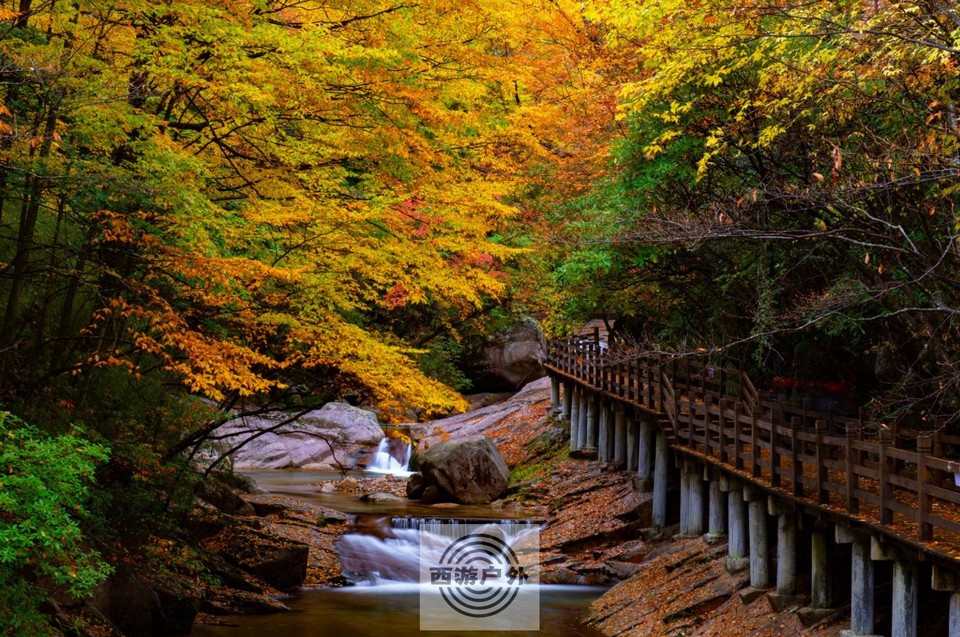 WWF~WPE8ITYRUSQQ$7@$SPI