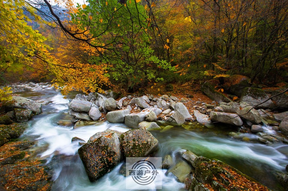 X2@TYQA]4LFP(96JJ$3C2BC