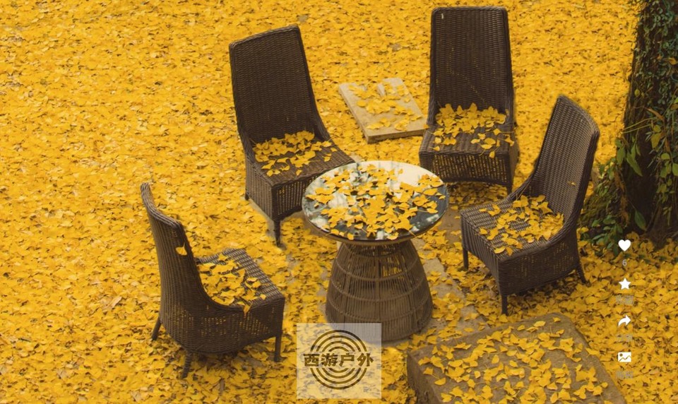 0b5ca5d30fe244fe8405b241e05e496