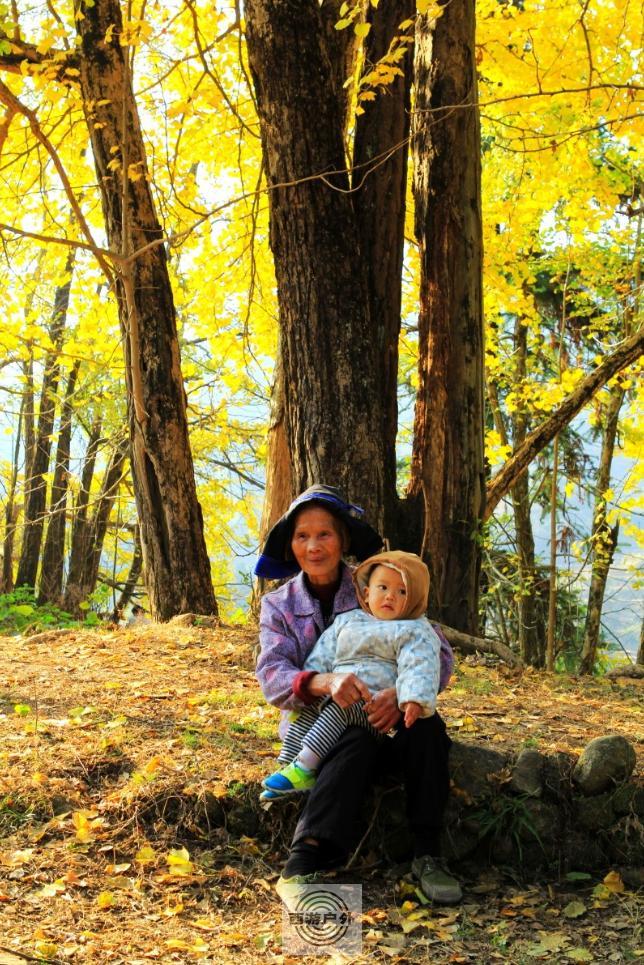 1b35c0071d607aa590a9a805c241a37