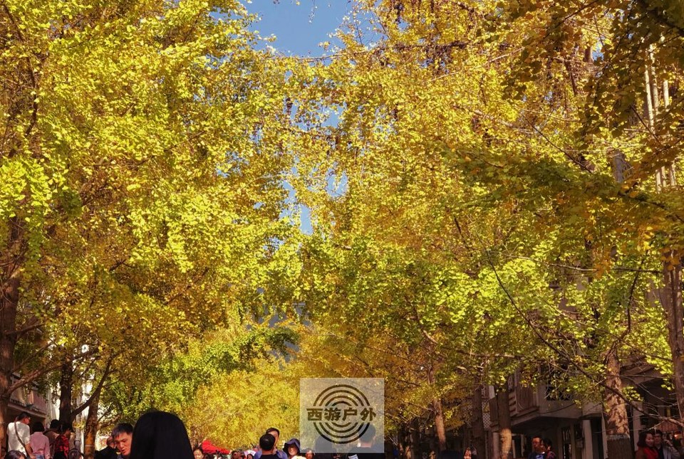 7d581f39f20175b0bbbf0221cddfddc