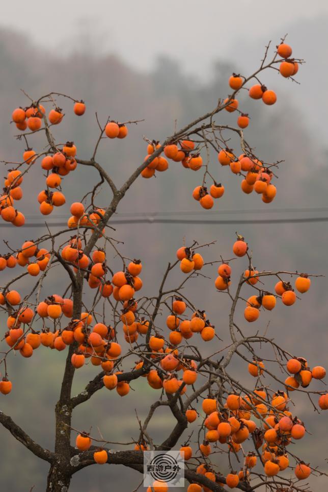 8HPJOU[TH4QGUA}E0{)DJ}R