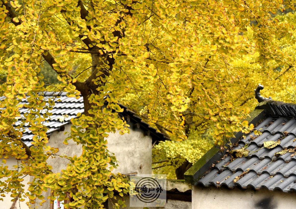 24d69cd0faa167bdc81430cbb1ec28c