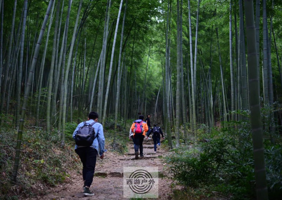 41a7a064a2ca3859d9118239d005007