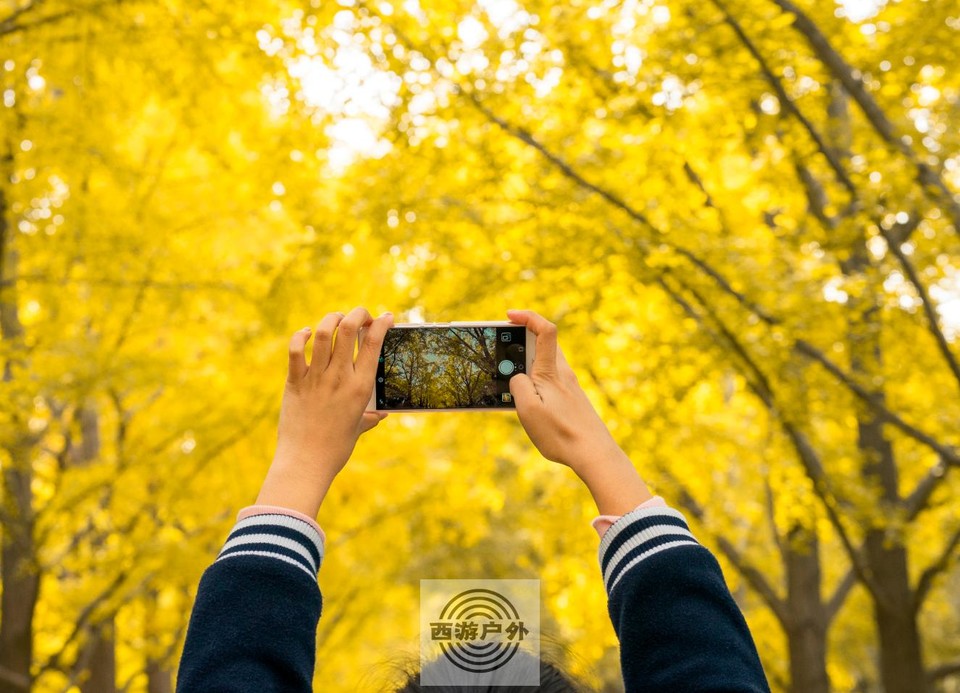 84c34d47688983a86d995dc77f01b10