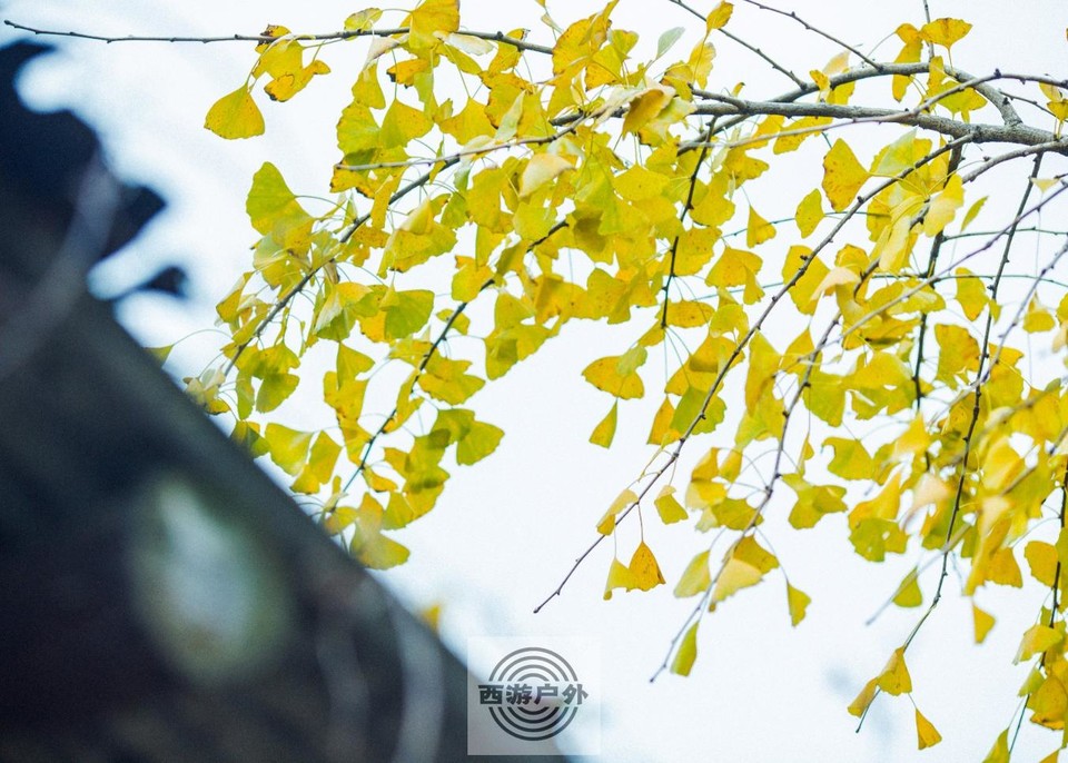 471da4629a8fa913ea28f8646b03897