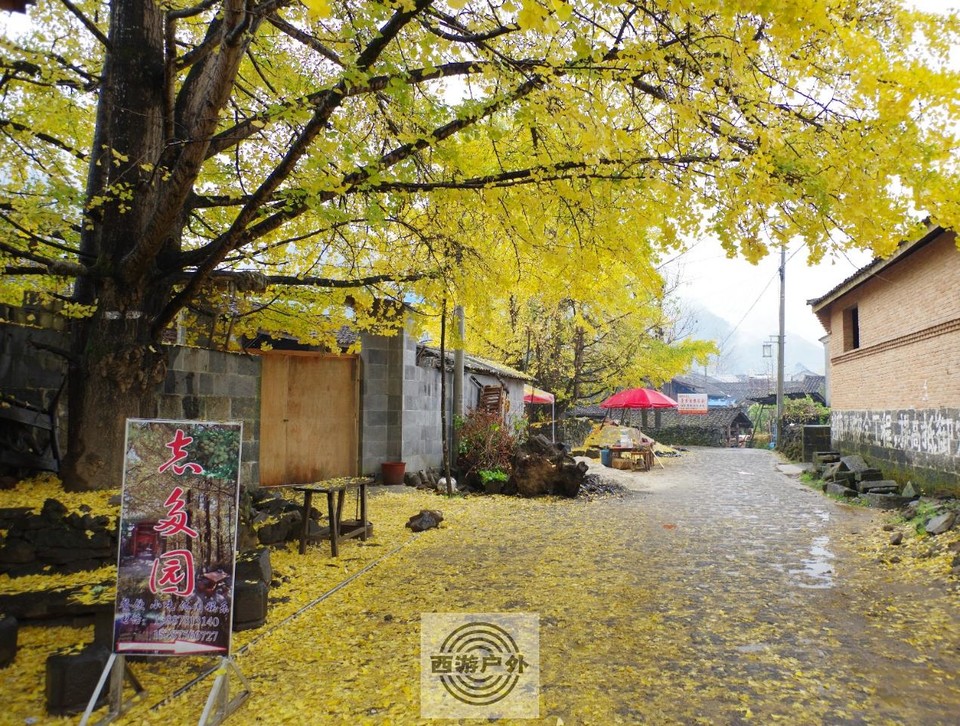 2210d010bf9f7805e022e0cf73cbea2