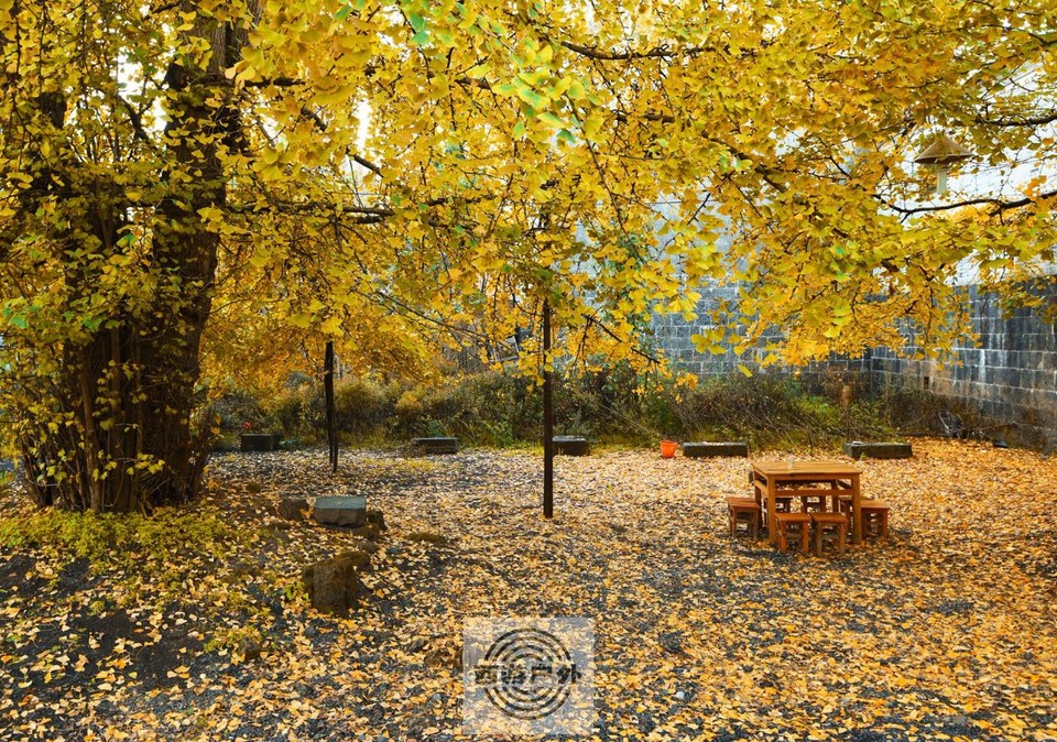 7011b912c1ae9123e09f11c78773ee5