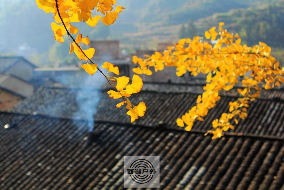 90637527da1943652a41177071b0a0f