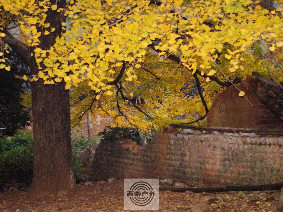 a44b9ac64c26c6178a2b67c8405a618