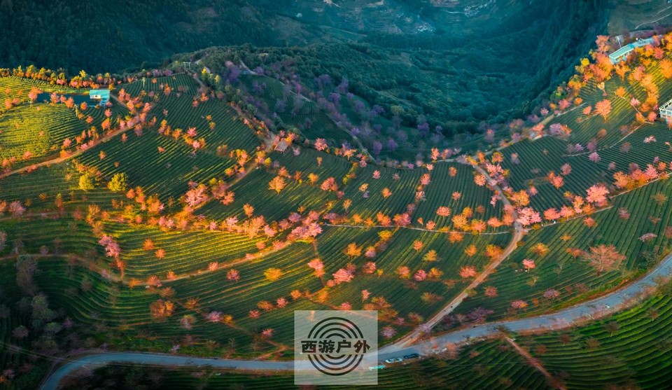 a18556a8f1aa64cc2df3b201eaf00d2