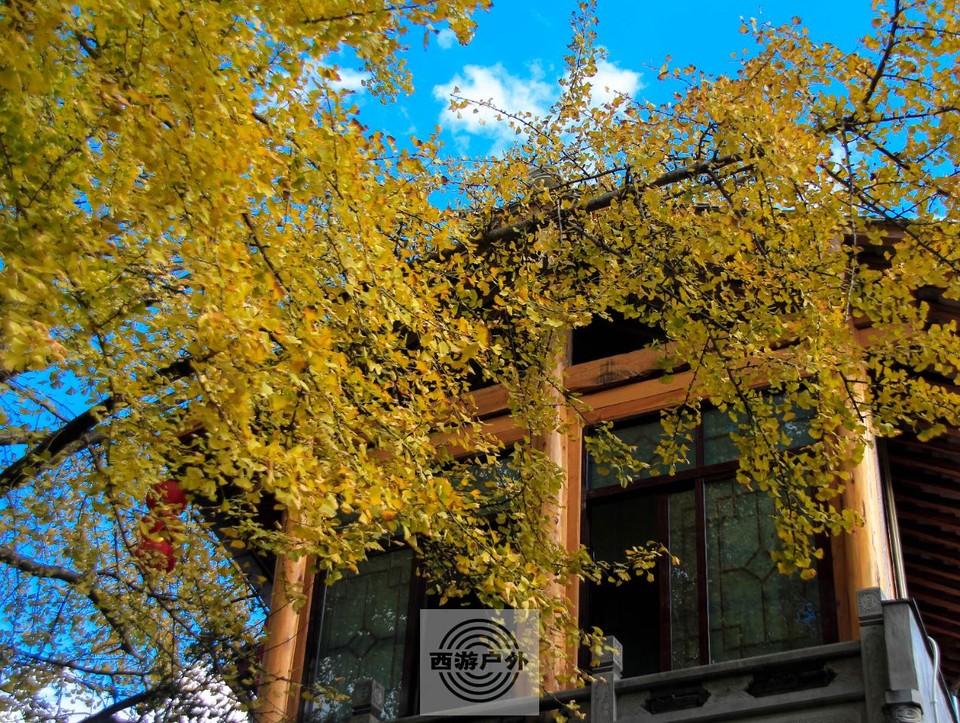 b71ebe630bf8392ce13d28f19bedb48