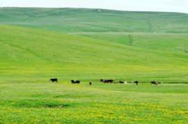 {0FBC37B5-D474-47e8-A48B-F2A760B140C9}