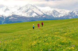 {9E2418FC-93AE-45ff-B76D-37AC08B0D686}