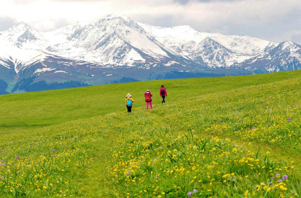 {9E2418FC-93AE-45ff-B76D-37AC08B0D686}