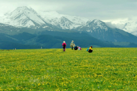 {13B45E25-CE22-4434-8B98-1377CFFD2743}