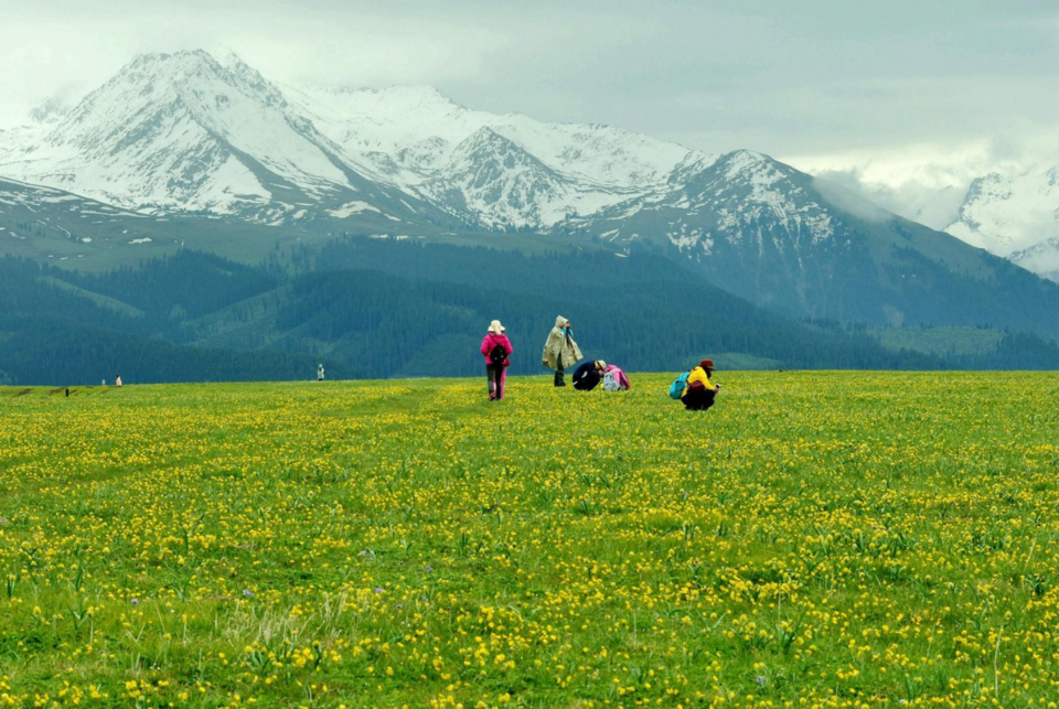 {13B45E25-CE22-4434-8B98-1377CFFD2743}