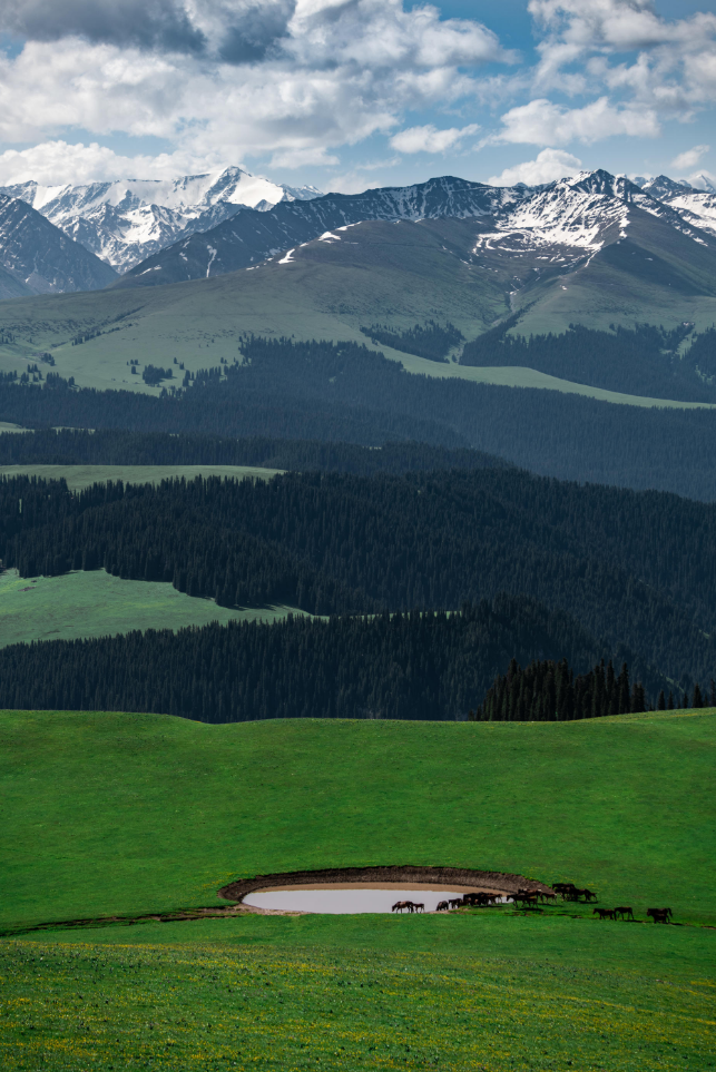 {DA2DEB99-33AD-42cf-90D7-FBD261B7E4B0}