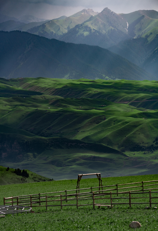 {D8598497-53AE-44b1-8232-521EC3D77EA0}