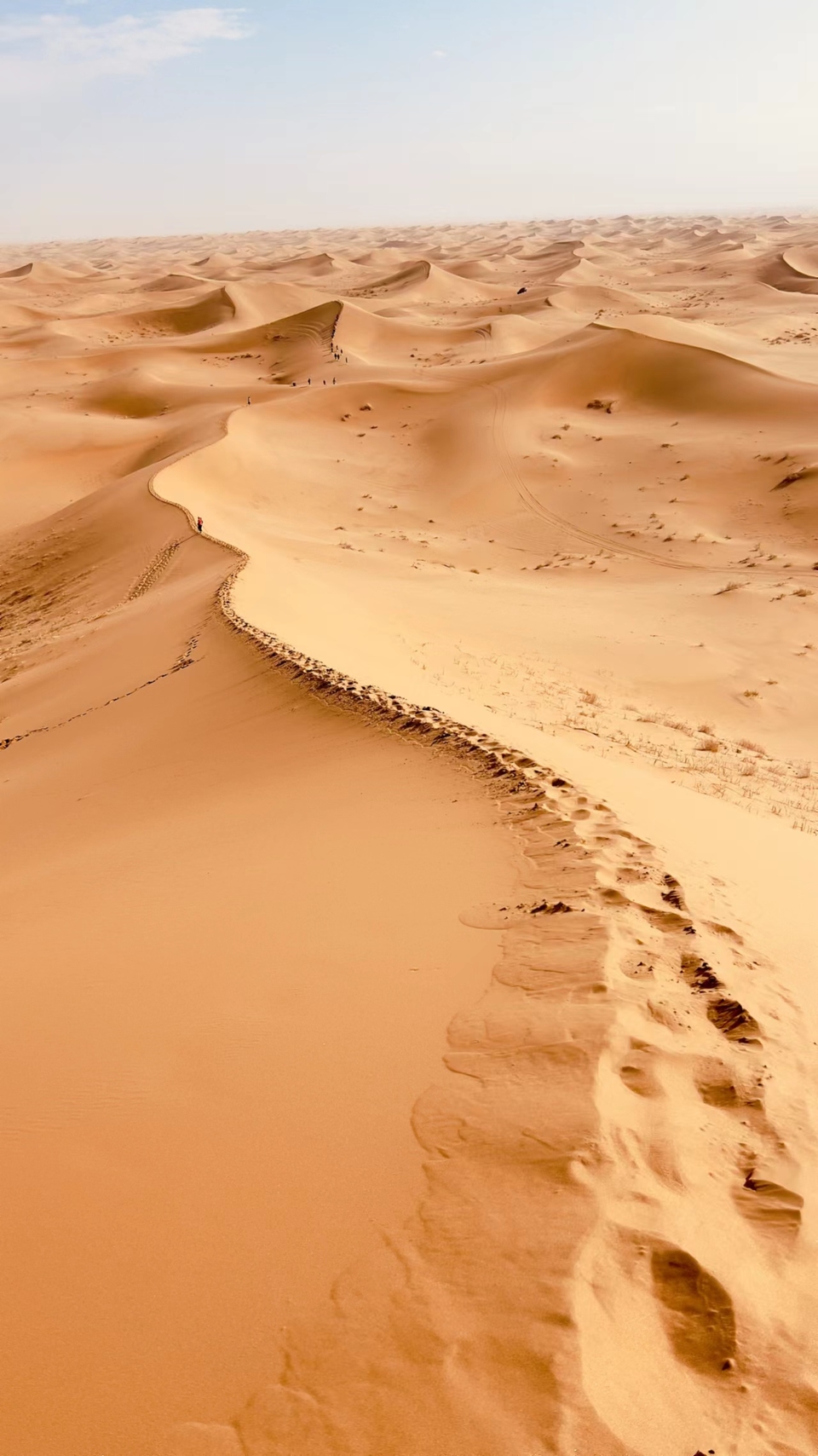 XgEpDvejGwXsd7GCpxHuXDuin8x0ihGicoiy7vA96Xce9p16BgnwDYZEs4DQqTtL