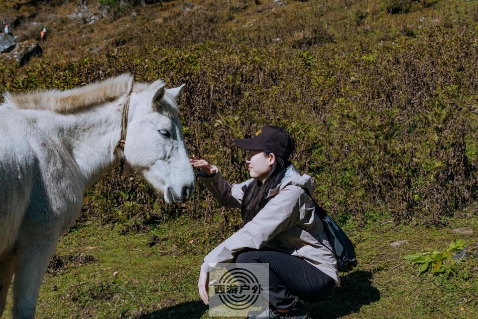 xJd2RmS5Ia1j3za00zm8o1gSFWclYF4CpT2FT6pxkQjcXw7XxwwidQkYD4CNzoqt