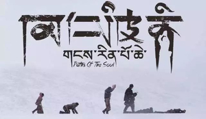 西藏 |【阿里转山】冈仁波齐+玛旁雍措+拉昂措+佩枯措+珠峰古堡8日游商务车团