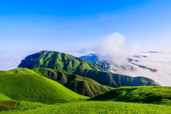 端午假期出发【挑战50公里•武功山】踏青赏云海：武功山之沈子村～金顶～发云界~明月山穿越3天4晚汽车团