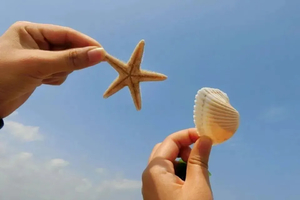 【海螺角】一条原始的海岸线！穿越惠东海螺角，捡海螺，赏巨石阵，最美浅海戏水！