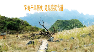 【阳山秦汉古道】徒步古道10公里，探寻历史记忆，感受古道之秋