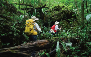 旷野贵州 | 荔波茂兰漏斗森林+四洞天穿越+猴子沟+螺丝壳徒步5日