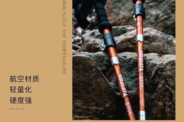 喜马拉雅专业户外登山杖手杖徒步装备爬山拐杖男款女款折叠登山棍