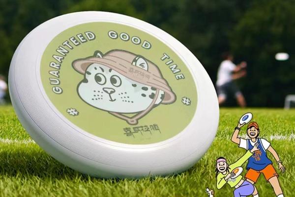 喜马拉雅 飞盘户外儿童软可回旋镖飞碟亲子露营互动游戏运动玩具