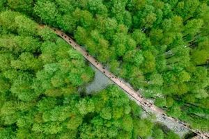 【绿野仙踪•水上森林】青山湖•龙门古镇纯玩一日游（含中餐）