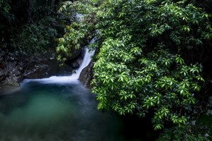 松阳箬寮-原始森林高山避暑5日游