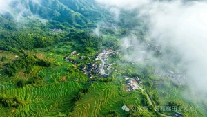 10月10-11月20云和梯田•坑根晒秋•玻璃观光塔纯玩一日游