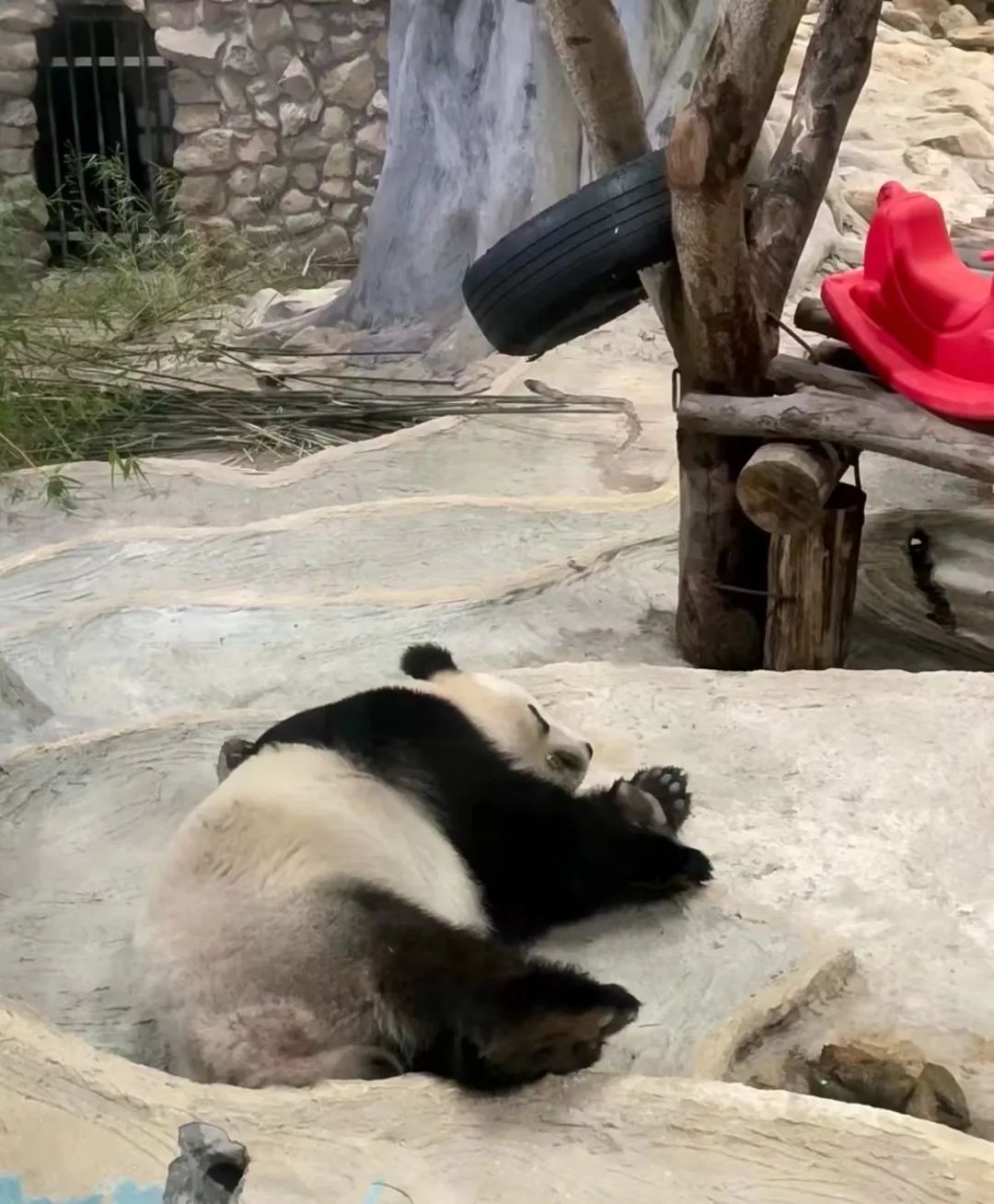 圖片
