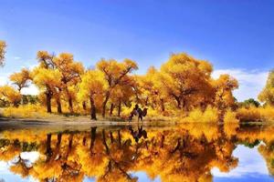 10.12-21【天山之南】2021年全景南疆十日自然與人文體驗深度行