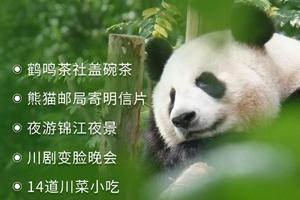 【2021網紅成都】4天3晚輕奢體驗小團2-4人成團