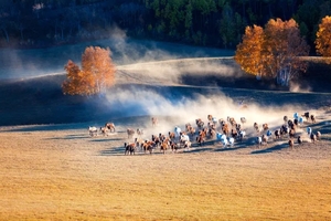 【金秋烏蘭布統】10.5越野車深入烏蘭布統大草原-木蘭圍場-穿越渾善達克沙地-金山嶺長城6日金秋純攝計劃