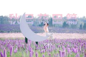 【攝影休閑】10.17初秋·向日葵與粉黛亂子草的邂逅，花田小鎮里，一半花海一半美女