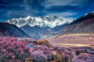 【大美川藏·11日】2-6人VIP小團  G317+G318+林芝桃花+金川梨花丨人文、風景一次看遍